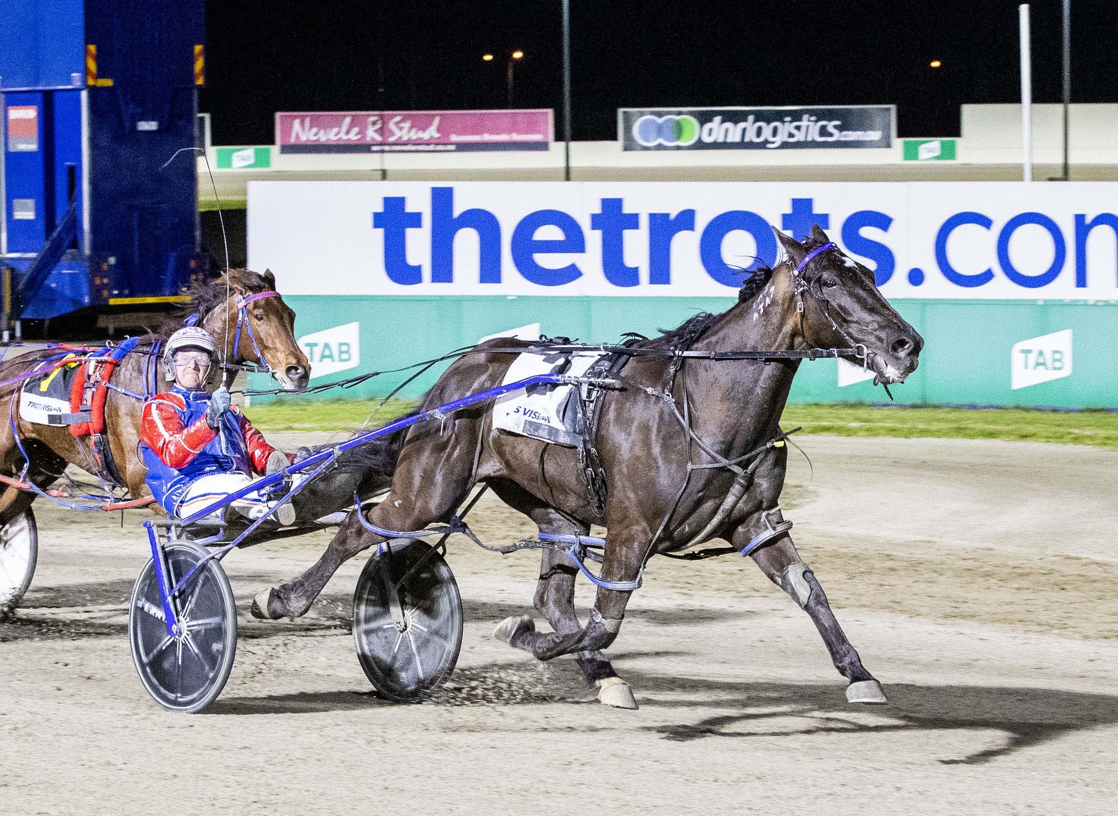 Thrilling Rock N Roll Doo Group 1 sets up VictoriaNew Zealand Cups assault Harness Racing